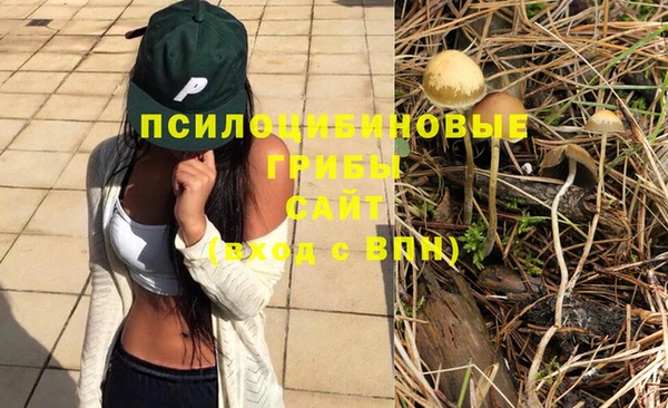 МДПВ Братск