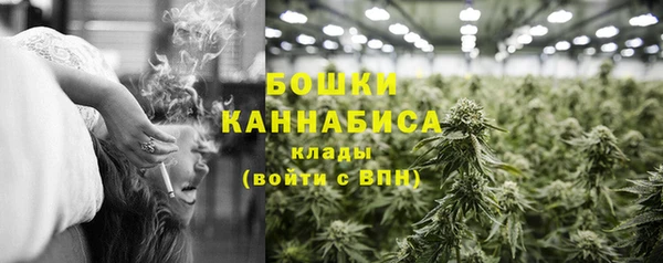ПСИЛОЦИБИНОВЫЕ ГРИБЫ Майский